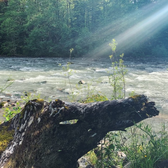 The Mt. Hood Collective Vintage Market - Picture 12 of 16